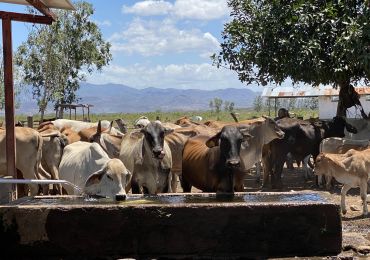 Solar Pump System For Livestock Water Supply