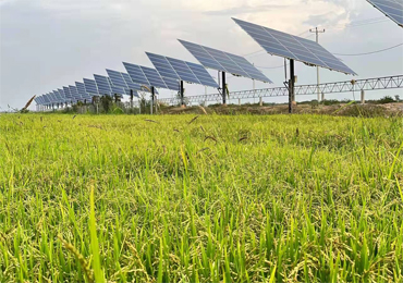 55kW solar pump system in Cambodia