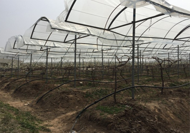 7.5kW Solar Drip Irrigation Project in Xuzhou