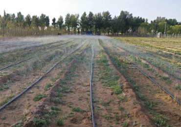 Farmland irrigation demonstration project in Northern Shaanxi